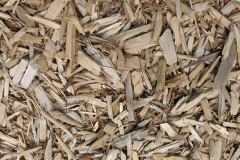 biomass boilers Llangunllo
